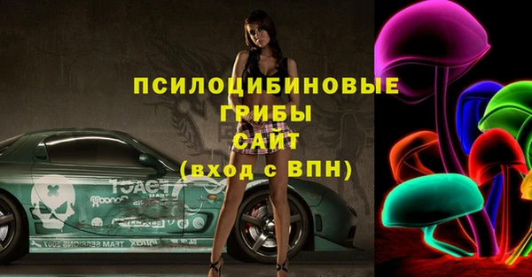 ПСИЛОЦИБИНОВЫЕ ГРИБЫ Иннополис